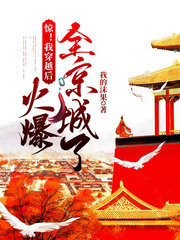 惊我穿越后火爆全京城了