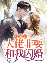 鹿溪商礼相亲后大佬非要和我闪婚