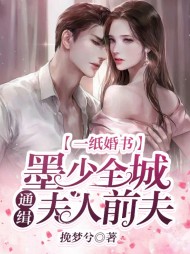 一纸婚书墨少全城通缉夫人前夫(现言)