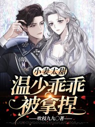 小妻太甜温少乖乖被拿捏