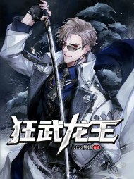 狂武龙王叶辰陆可儿