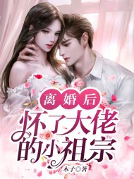 宋锦书司寒风(现言)