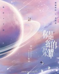 你是我的荣耀原著