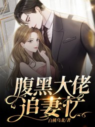 腹黑大佬追妻忙(现言)