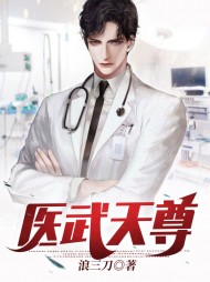 医武天尊岳阳苏婉宁