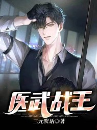 医武战王叶玄枫李雪茗