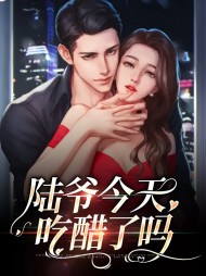 盛晚棠陆霁渊(真相)