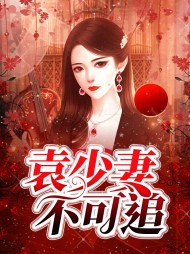 [虐文]袁少妻不可追