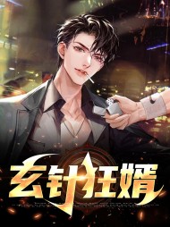 玄针狂婿林望杨悦