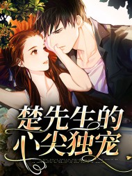 楚先生的心尖独宠顾芷楚琛