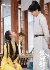 电视剧狐狸在手(囡囝囚团)同名