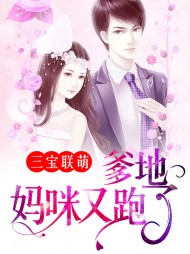 沐婉清殷衍琛(萌宝)