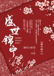 盛世锦宁顾锦宁江慕白