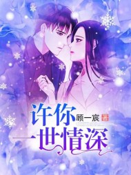 许你一世情深南笙顾遇