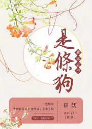 [宅斗]苏映雪南辰逸