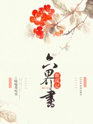 岚书颜淮[爽文]