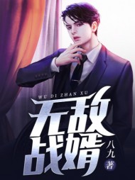 无敌战婿陆远苏怜衣