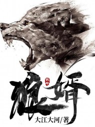 狼婿陆飞顾程程