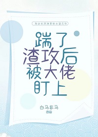 叶容傅闻远(霸总)