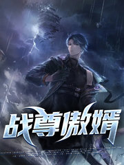 战尊傲婿林天程立雪