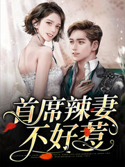 首席辣妻不好惹(现言)