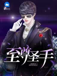 至尊圣手林夜陈初雪