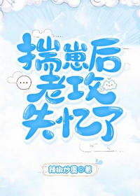 揣崽后老攻失忆了(辣椒炒蛋)