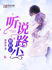 听说路少想转正