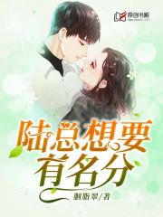 陆总想要有名分