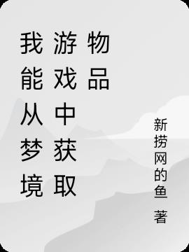 我能从梦境游戏中获取物品