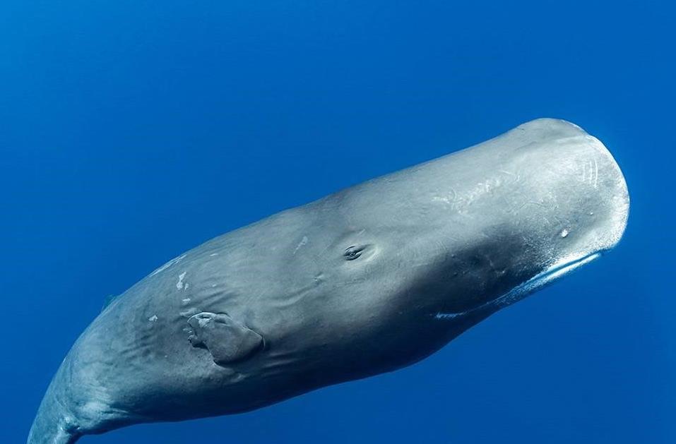 流浪者-测试(落叶归根) - 流浪者-测试全文在线阅读 - 流浪者-测试最新章节 - 奏决网