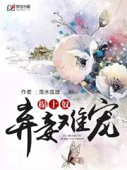 榻上奴：弃妾难宠