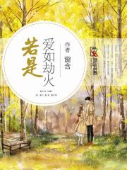 若是爱如劫火