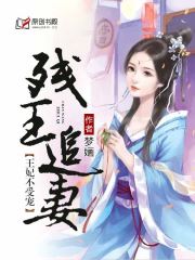 追妻王妃