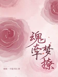 魂牵梦撩季煜慕颜