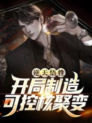 逆天悟性开局制造可控核聚变