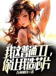 我这普通工厂你让我造芯片(九州明月)