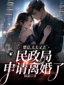 楚总太太又去民政局申请离婚了