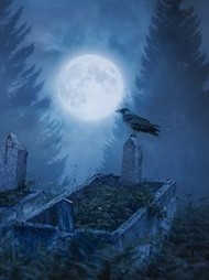 恶鬼夺命一夫娶双妻赵星河