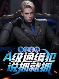 绑定系统A级通缉犯说抓就抓