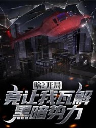 啥开局竟让我瓦解黑暗势力苏南