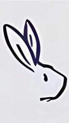 杀死那个哥伦布