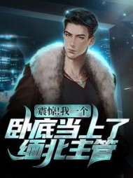 震惊我一个卧底当上了缅北主管by方莫泊