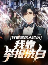穿成黑帮大佬后我靠举报洗白