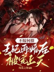 不嫁何撩王妃再婚后被宠上天
