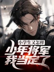 小学生又怎样少年将军我当定了