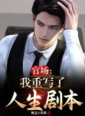 官场我重写了人生剧本