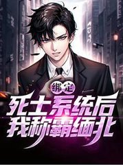 绑定死士系统后我称霸缅北