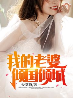 我的老婆倾国倾城(苏阳叶倾城) - 我的老婆倾国倾城全文在线阅读 - 我的老婆倾国倾城最新章节 - 奏决网