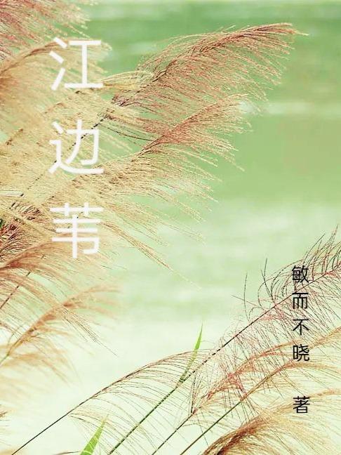 江边苇